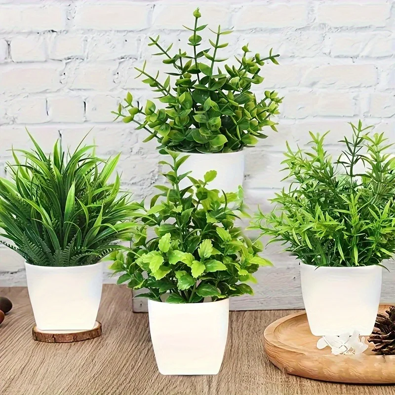 Mini plantes d'eucalyptus arti - Home Office Layout avis et prix