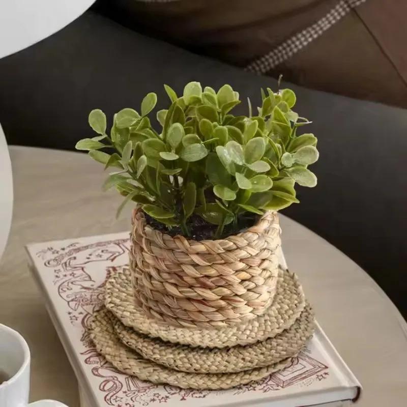 Plante en Pot, petites fausses - Home Office Layout avis et prix